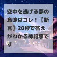 空中を逃げる夢のサムネイル