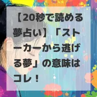 ストーカーから逃げる夢のサムネイル