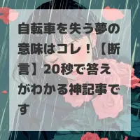 自転車を失う夢のサムネイル