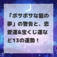 ボサボサな髪の夢のサムネイル