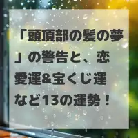 頭頂部の髪の夢のサムネイル