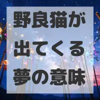野良猫が出てくる夢のサムネイル