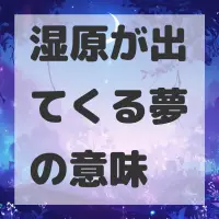 湿原が出てくる夢のサムネイル