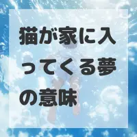 猫が家に入ってくる夢のサムネイル