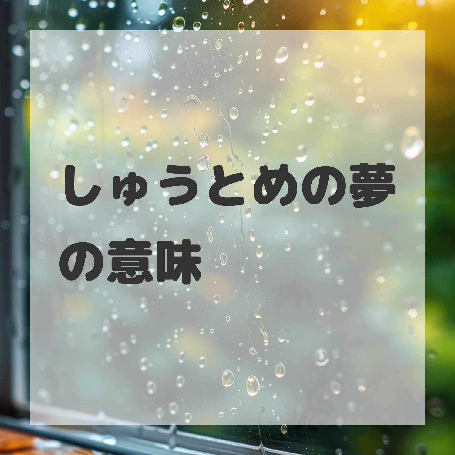 しゅうとめの夢のサムネイル画像