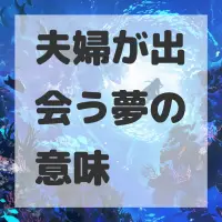 夫婦が出会う夢のサムネイル