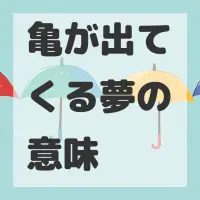 亀が出てくる夢のサムネイル