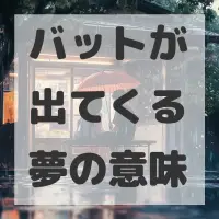 バットが出てくる夢のサムネイル