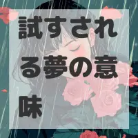 試すされる夢のサムネイル