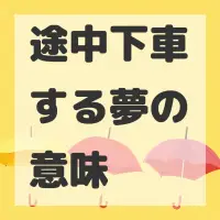 途中下車する夢のサムネイル