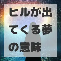 ヒルが出てくる夢のサムネイル