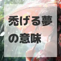 禿げる夢のサムネイル