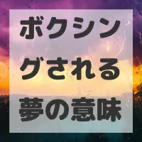ボクシングされる夢のサムネイル