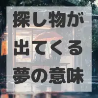 探し物が出てくる夢のサムネイル