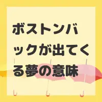 ボストンバックが出てくる夢のサムネイル
