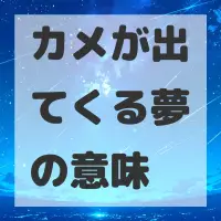カメが出てくる夢のサムネイル
