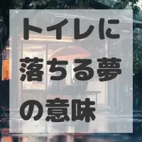 トイレに落ちる夢のサムネイル