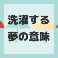 洗濯する夢のサムネイル