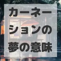 カーネーションの夢のサムネイル