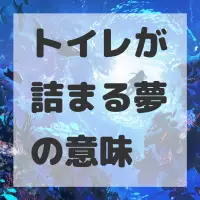 トイレが詰まる夢のサムネイル