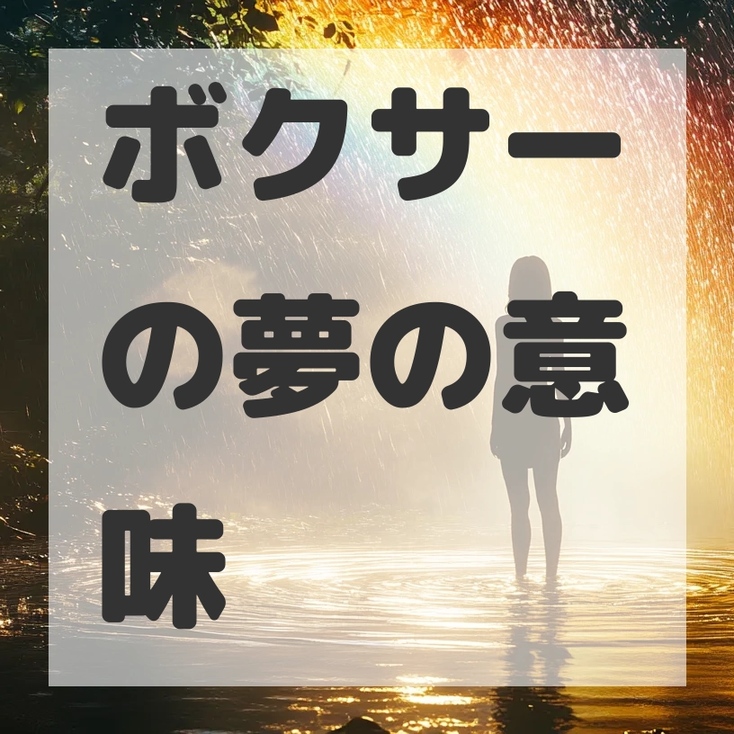 ボクサーの夢のサムネイル画像