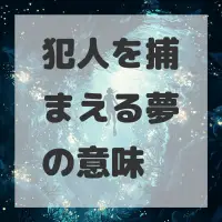 犯人を捕まえる夢のサムネイル