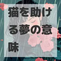 猫を助ける夢のサムネイル