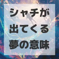 シャチが出てくる夢のサムネイル