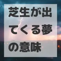 芝生が出てくる夢のサムネイル