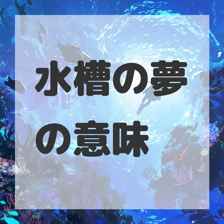 水槽の夢のサムネイル画像