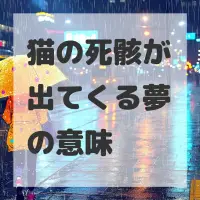 猫の死骸が出てくる夢のサムネイル