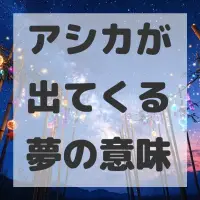 アシカが出てくる夢のサムネイル