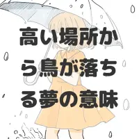 高い場所から鳥が落ちる夢のサムネイル