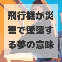 飛行機が災害で墜落する夢のサムネイル
