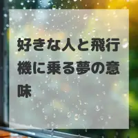 好きな人と飛行機に乗る夢のサムネイル