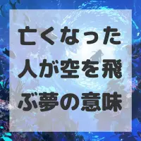 亡くなった人が空を飛ぶ夢のサムネイル