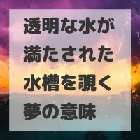 透明な水が満たされた水槽を覗く夢のサムネイル