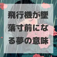 飛行機が墜落寸前になる夢のサムネイル