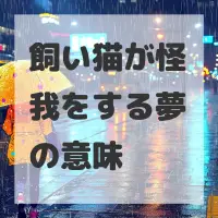 飼い猫が怪我をする夢のサムネイル