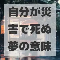 自分が災害で死ぬ夢のサムネイル
