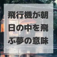 飛行機が朝日の中を飛ぶ夢のサムネイル