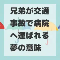 兄弟が交通事故で病院へ運ばれる夢のサムネイル
