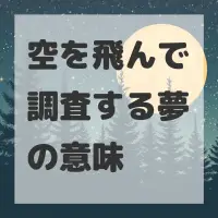 空を飛んで調査する夢のサムネイル