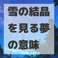 雪の結晶を見る夢のサムネイル