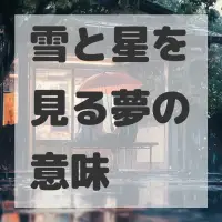 雪と星を見る夢のサムネイル