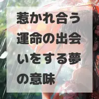 惹かれ合う運命の出会いをする夢のサムネイル画像