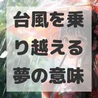 台風を乗り越える夢のサムネイル