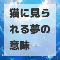 猫に見られる夢のサムネイル