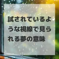 試されているような視線で見られる夢のサムネイル