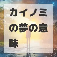 カイノミの夢のサムネイル